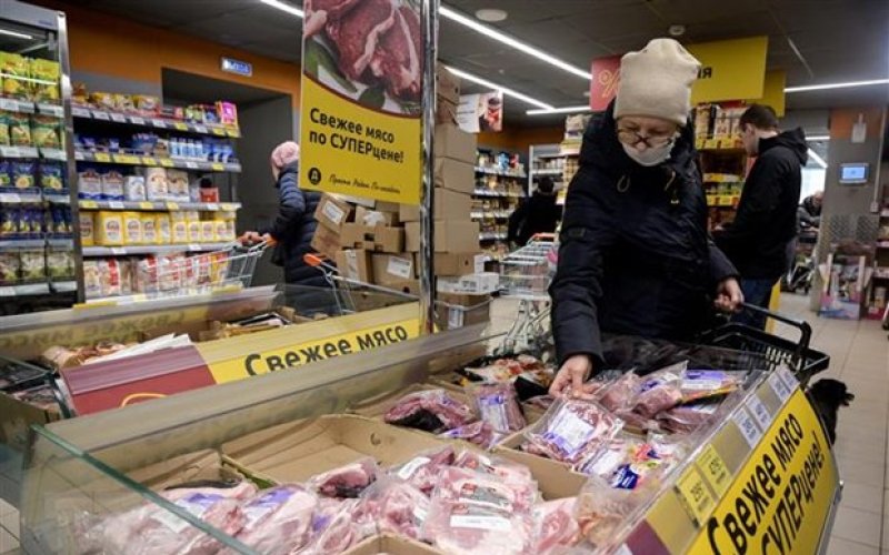 IMF hạ dự báo tăng trưởng toàn cầu do cuộc khủng hoảng Ukraine