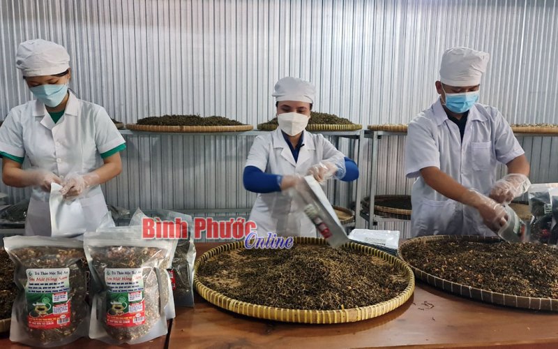 Khởi quay chương trình truyền hình thực tế Khởi nghiệp cùng Hoài Sơn