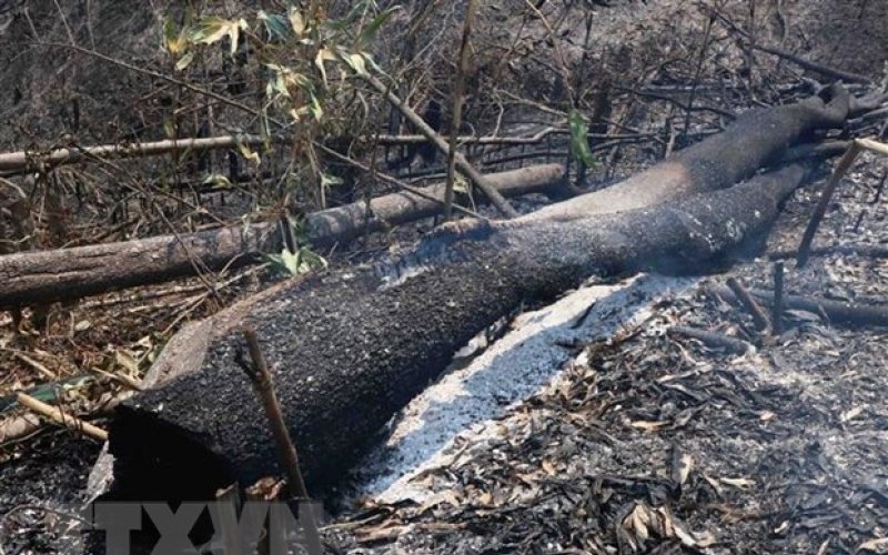 Lai Châu: Huy động hơn 300 người chữa cháy rừng ở xã Mường Kim