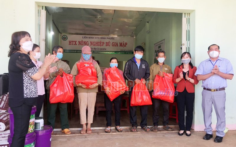 Liên minh Hợp tác xã tỉnh thăm, tặng quà các hợp tác xã