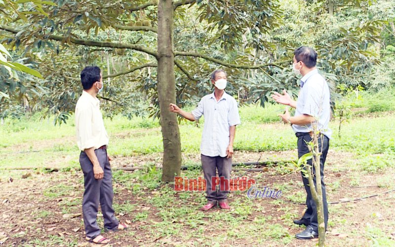 Lợi kép từ mô hình kinh tế kết hợp