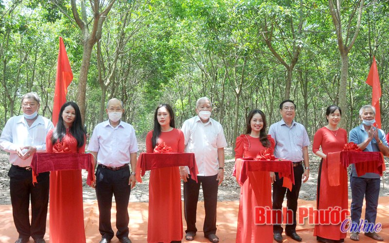 Nông trường Nghĩa Trung ra quân mở miệng cạo vườn cao su tái canh