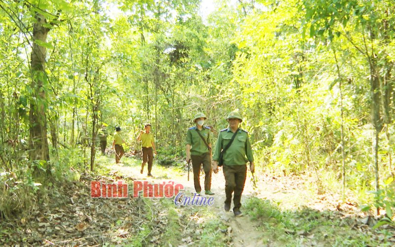 Phòng, chống cháy rừng: Không thể chủ quan, lơ là