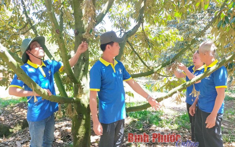 Tân Lợi và hành trình 20 năm vượt khó vươn lên: “Vùng sâu, vùng xa” trở thành điểm sáng kinh tế