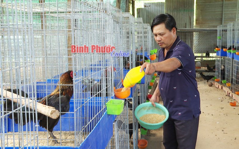 Thành công từ hướng đi riêng