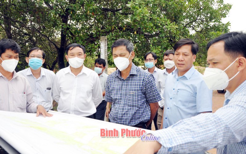 Toàn tỉnh có 257 danh mục dự án đã được thu hồi, chuyển mục đích sử dụng đất