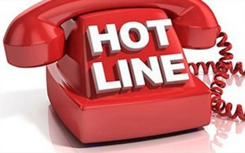 Ban Chỉ đạo 389 Quốc gia xử lý nhiều vụ việc qua đường dây nóng