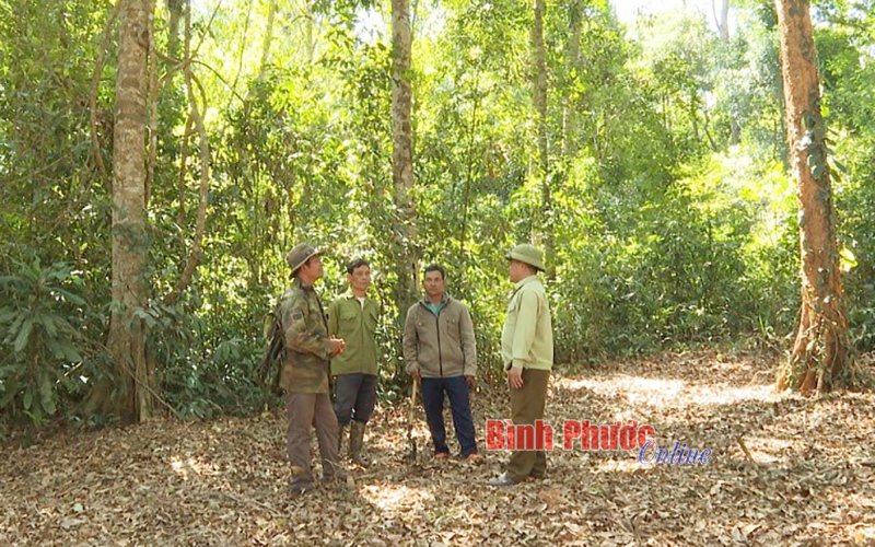 Ban Quản lý rừng phòng hộ Bù Đăng: Gìn giữ “lá phổi xanh”