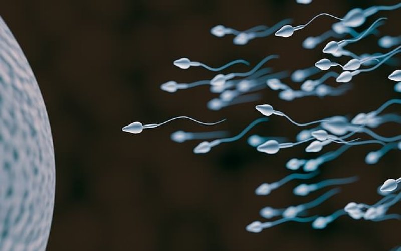 Báo cáo của WHO: Cứ 6 người trưởng thành có 1 người vô sinh