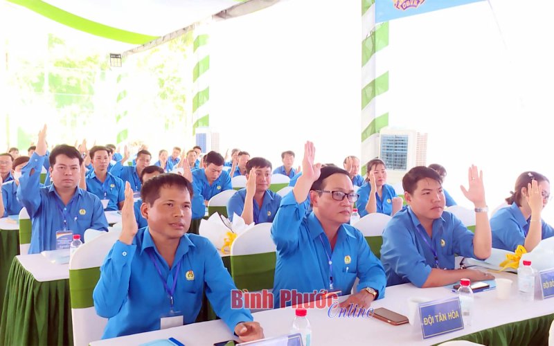 Cao su Bình Phước thu nhập bình quân 8,6 triệu đồng/người/tháng