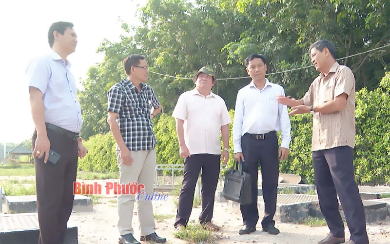 Giám sát đầu tư hạ tầng và kinh doanh  các khu dân cư, đô thị ở Chơn Thành