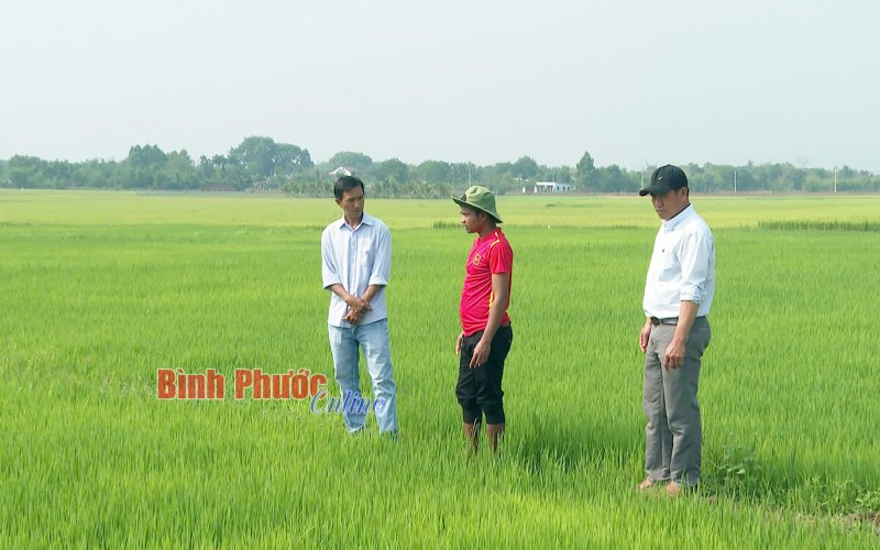 Chủ động nguồn nước sản xuất