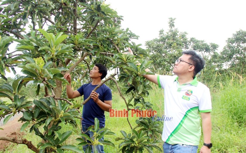 Đảng bộ tỉnh lãnh đạo nông dân trong thời kỳ đẩy mạnh công nghiệp hóa, hiện đại hóa