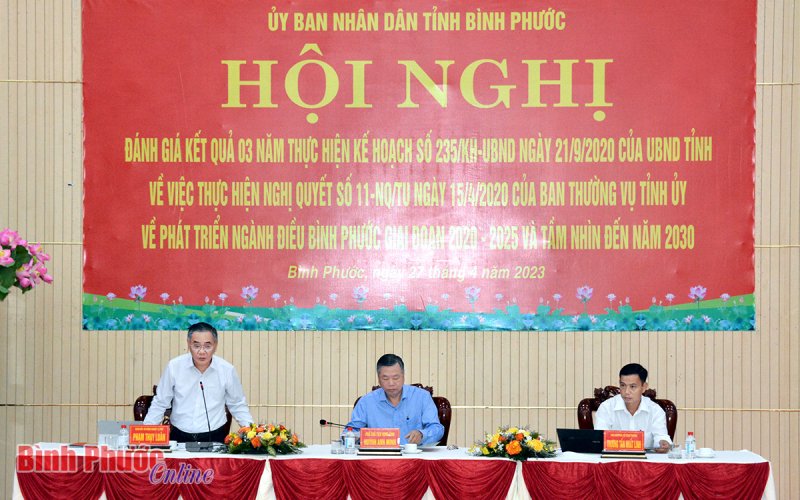 Đẩy mạnh tổ chức sản xuất, hình thành vùng nguyên liệu cho ngành điều