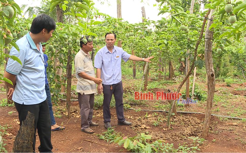 Lợi kép từ tưới nước tiết kiệm