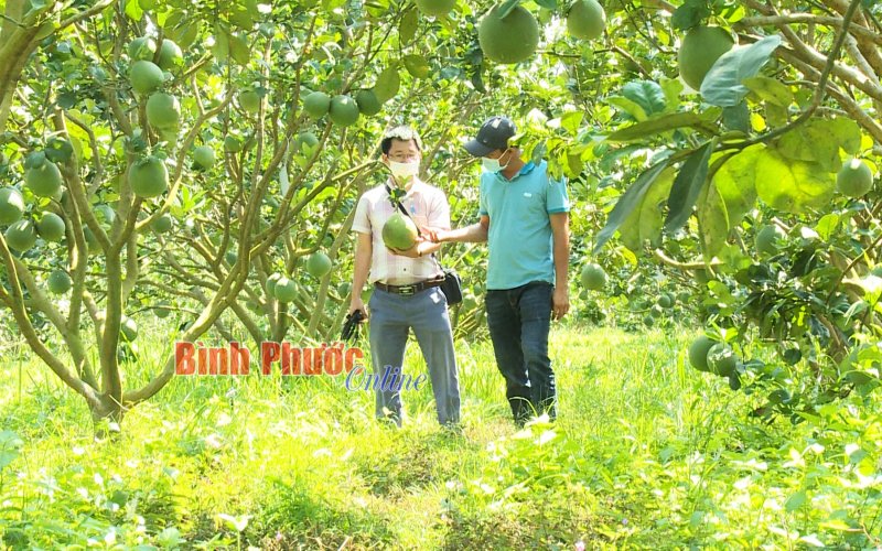 'Chìa khóa' gia tăng giá trị nông sản