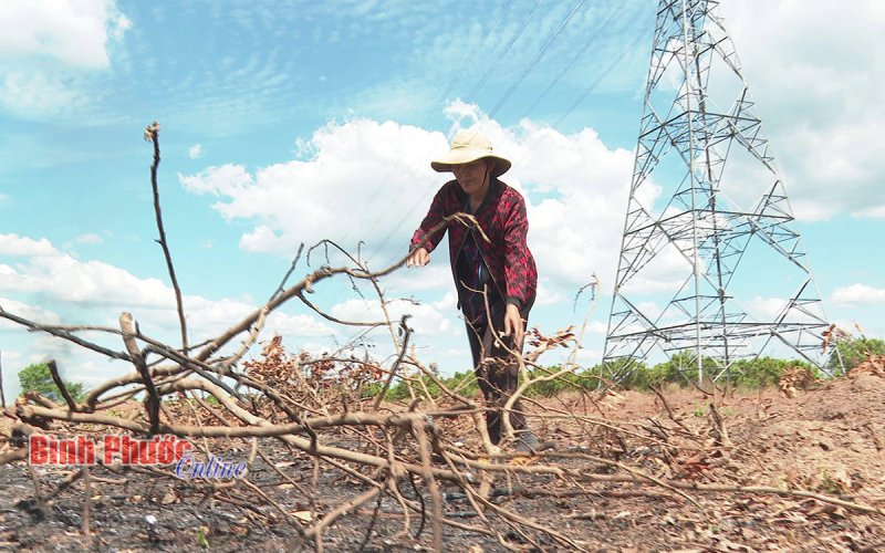 Nguy cơ mất vùng nhãn Thanh Lương