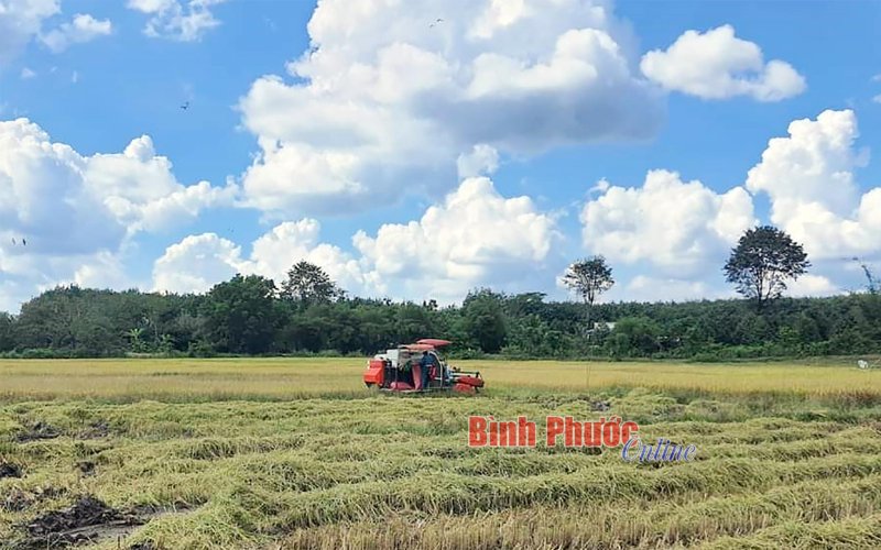 Phát huy vai trò hợp tác xã trong phát triển kinh tế nông thôn