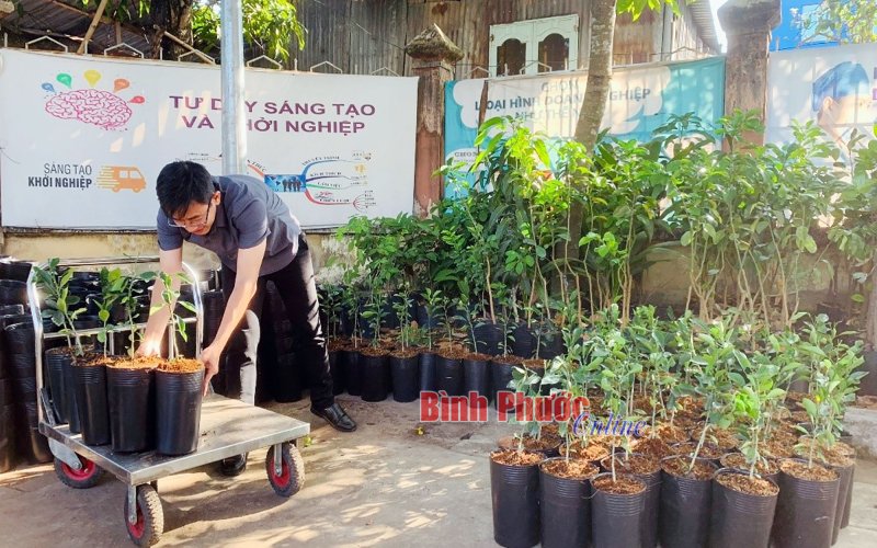 Phát triển cây ăn trái trở thành thế mạnh