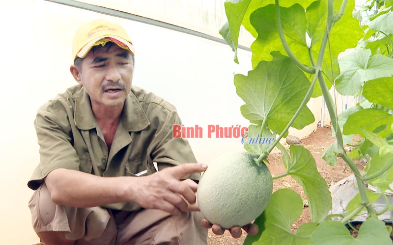 Quỹ Hỗ trợ nông dân - điểm tựa của nhà nông