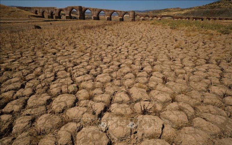 Tây Ban Nha kêu gọi EU viện trợ khẩn cấp cho nông dân ứng phó hạn hán