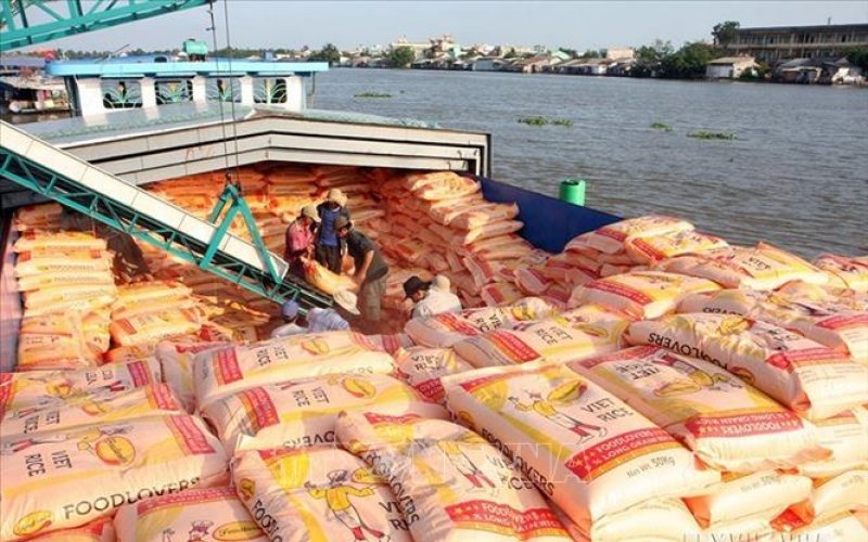 Xuất khẩu gạo tiếp tục thuận lợi