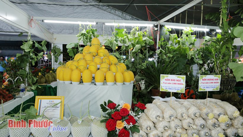 Khuyến khích người dân mua sắm không dùng tiền mặt tại Hội chợ trái cây và hàng nông sản lần thứ 7