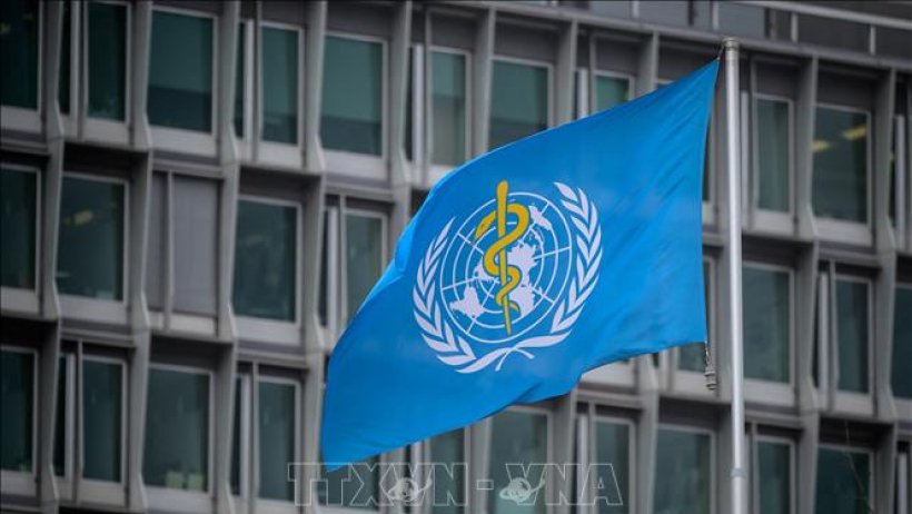 WHO khuyến cáo các nước theo dõi diễn biến dịch cúm gia cầm