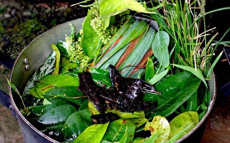 Ấm nồng hơi nước lá xông