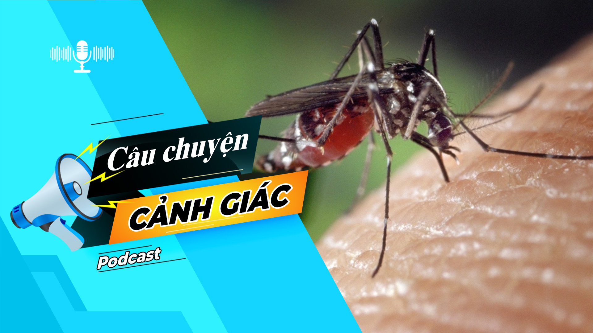 Cẩn trọng với biến chứng của sốt xuất huyết | Câu chuyện cảnh giác
