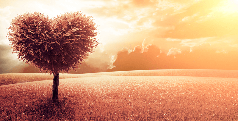 Hạnh phúc đến từ những điều nhỏ nhất!