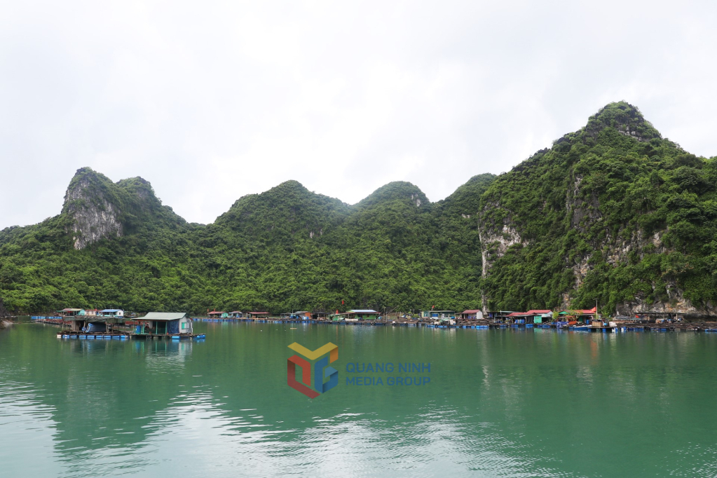 Mở tour khám phá Bái Tử Long