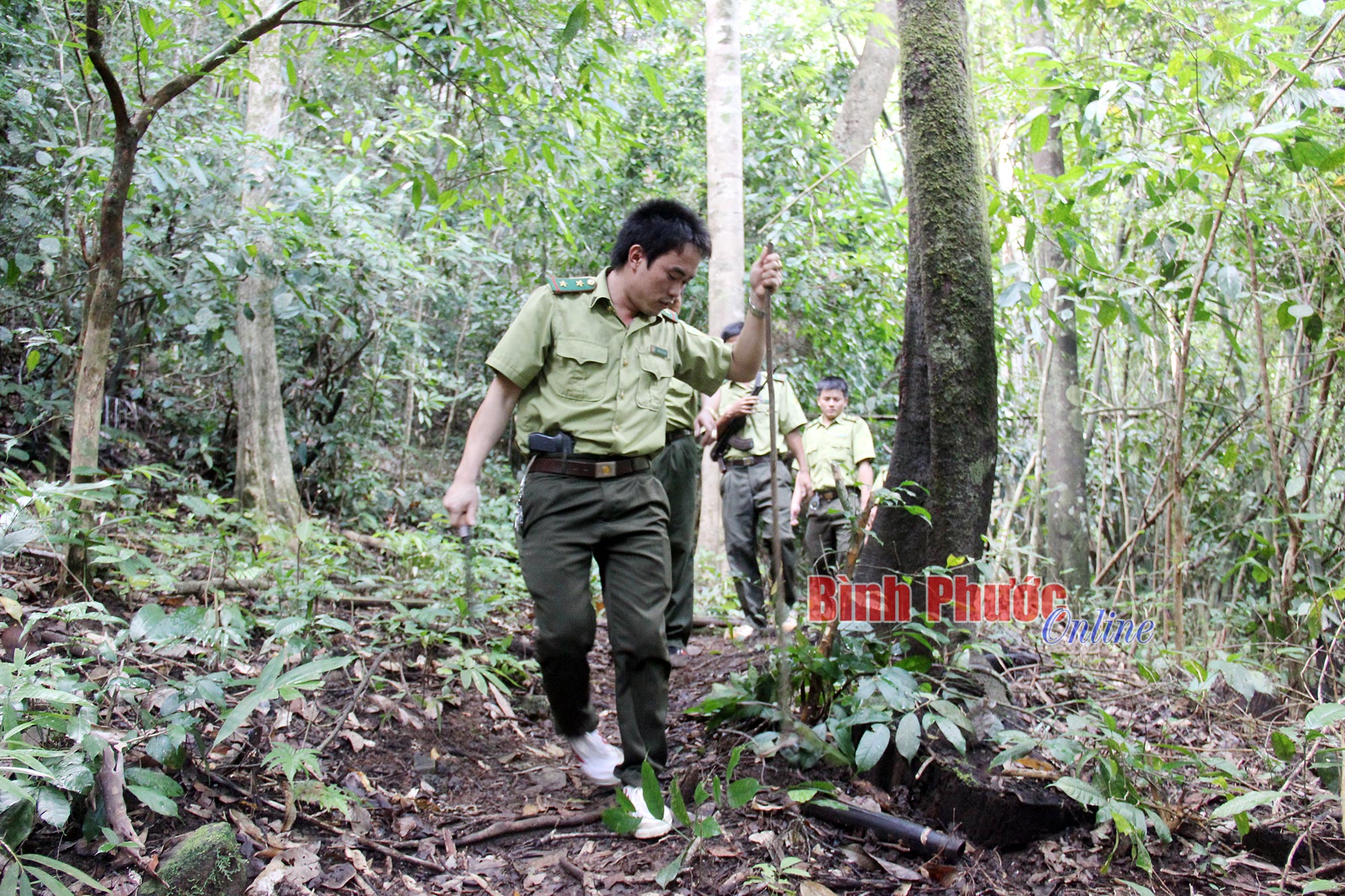 Ngăn chặn, xử lý kịp thời vi phạm pháp luật về lâm nghiệp