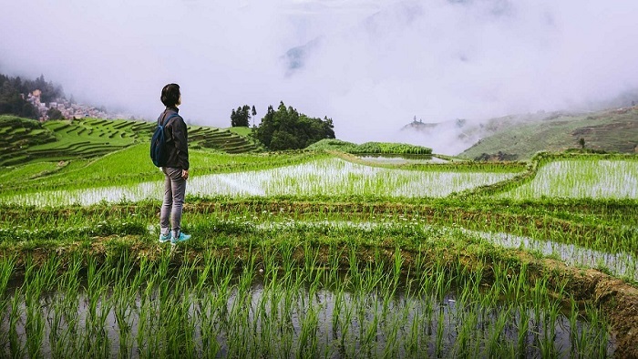 Người vác tù và hàng tổng