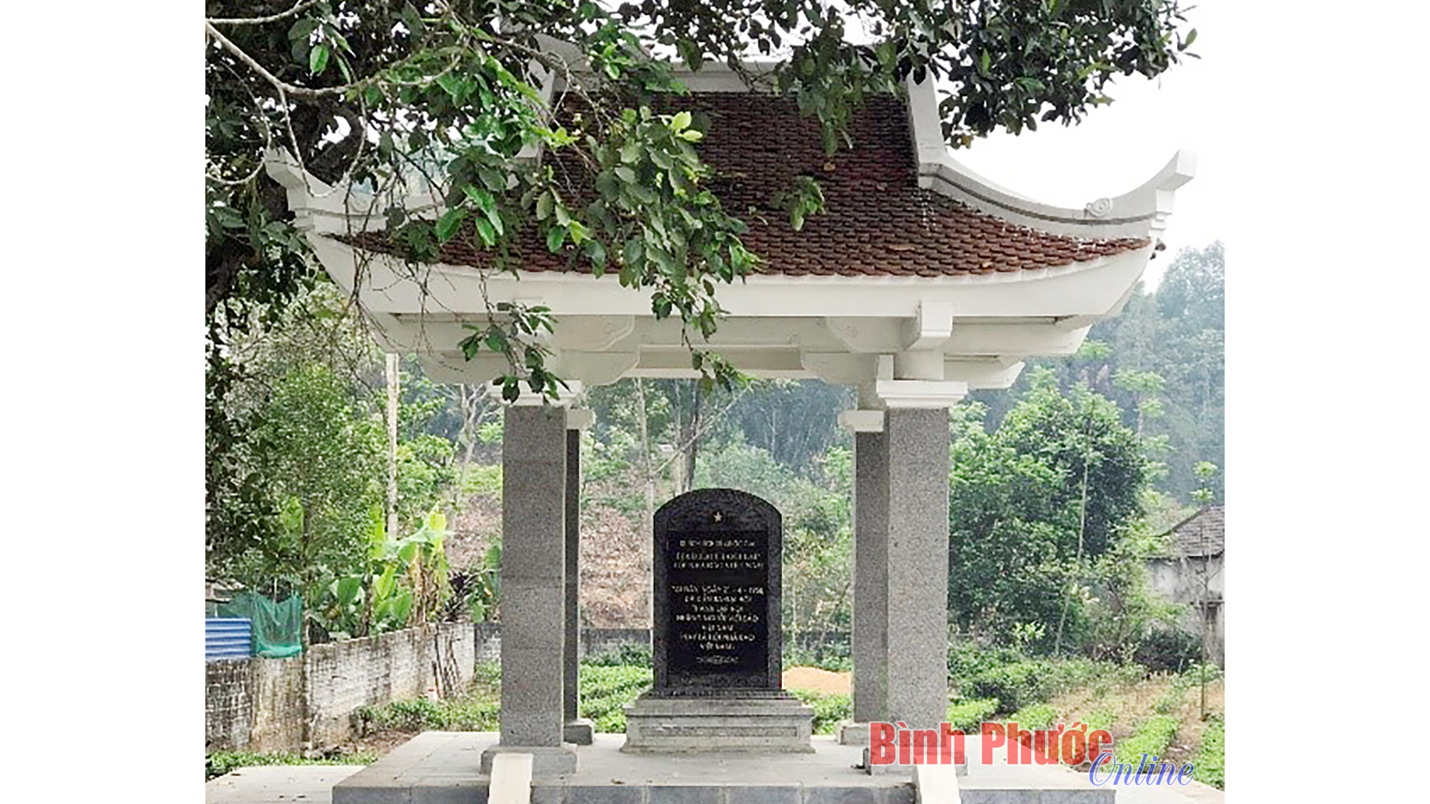 Nhớ về nguồn cội