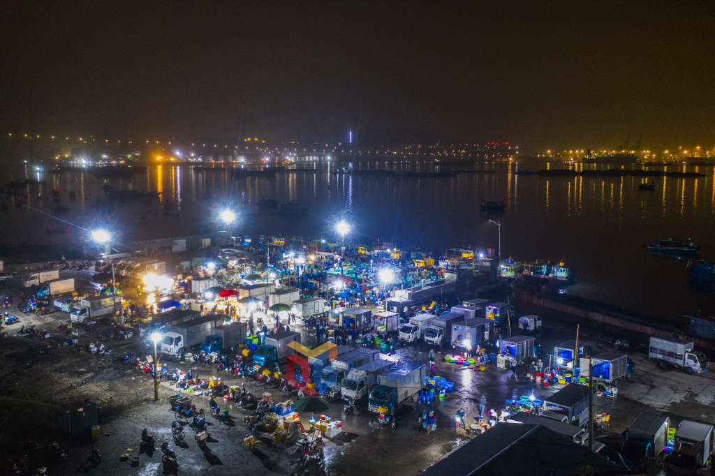 Nhộn nhịp chợ cá sớm Hòn Gai