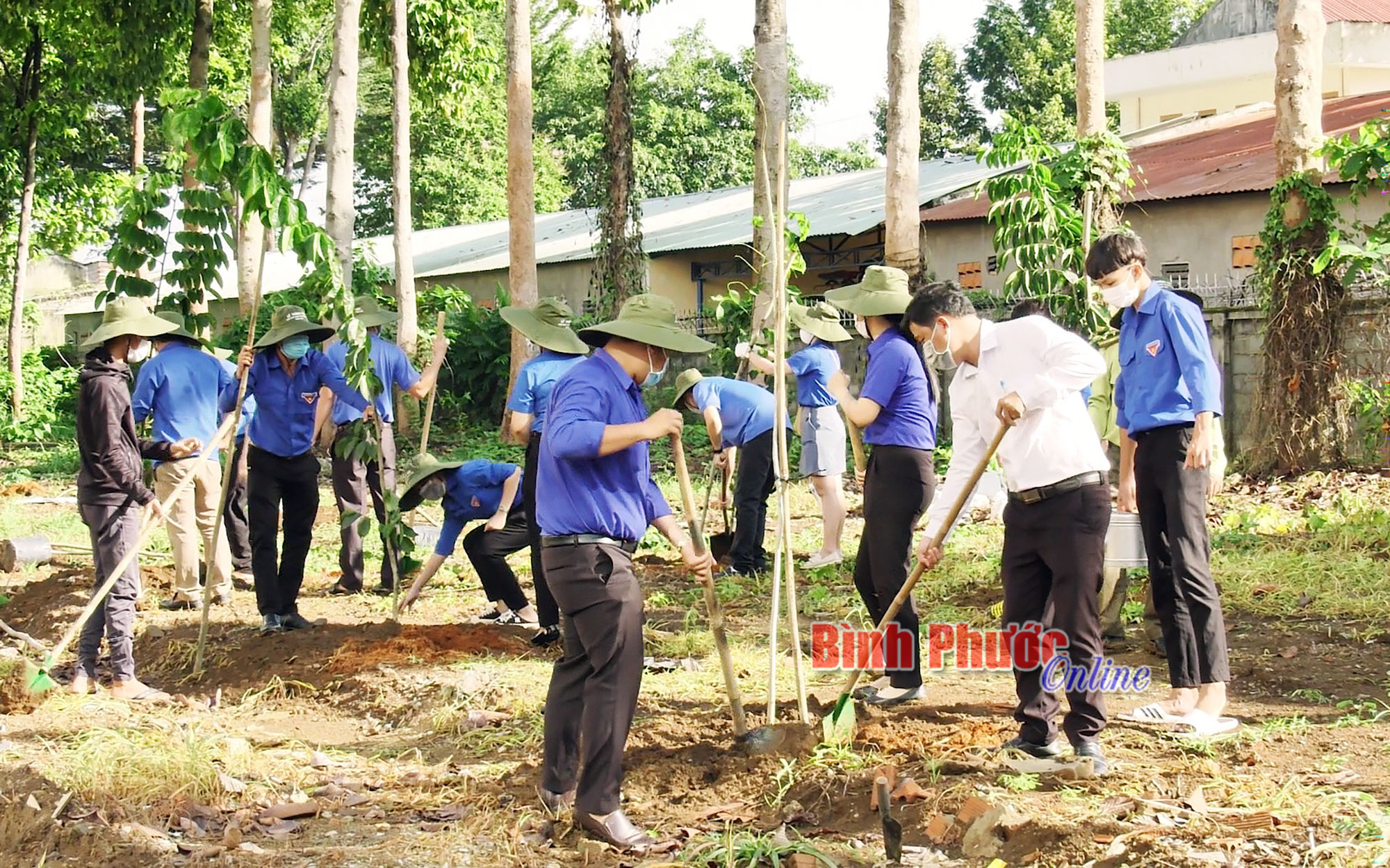 Tổ chức tết trồng cây thiết thực, hiệu quả