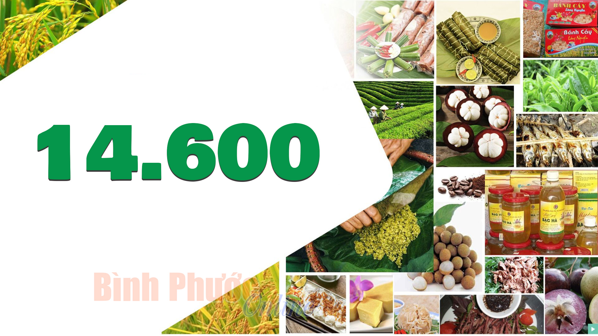 Việt Nam có hơn 14.600 sản phẩm OCOP đạt 3 sao trở lên