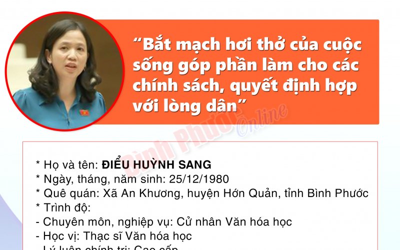 Chương trình hành động của ứng cử đại biểu Hội đồng nhân dân tỉnh khóa X - ĐIỂU HUỲNH SANG