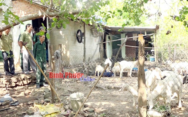 Đòn bẩy giúp cựu chiến binh phát triển kinh tế