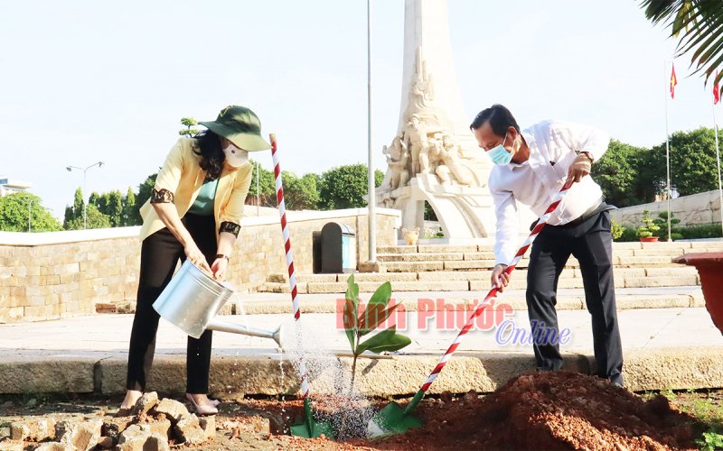 Đồng Xoài: Trồng cây bàng vuông hưởng ứng phong trào “Trồng cây nhớ ơn Bác Hồ”