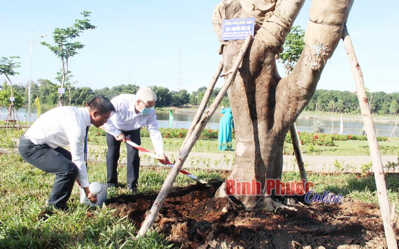 Khánh thành công viên suối Cam với gần 700 cây gỗ quý