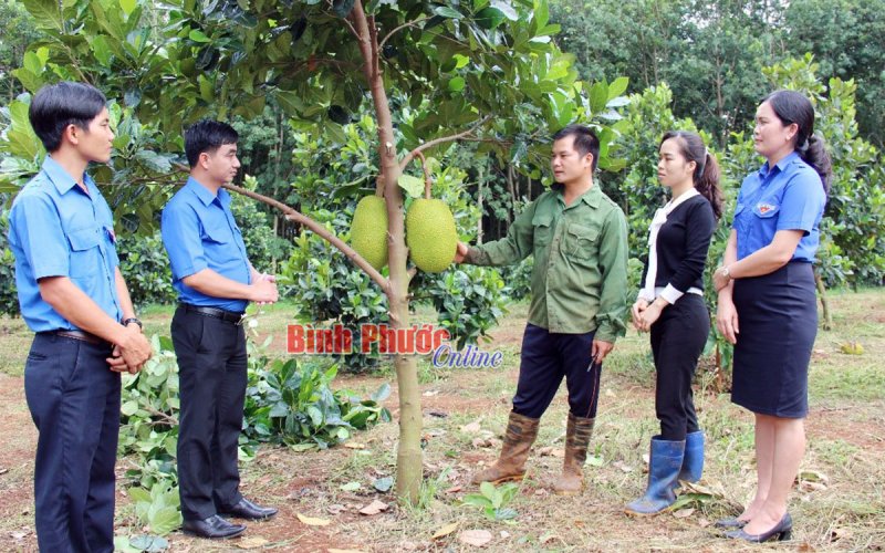 Khi cán bộ đoàn thanh niên là đại biểu dân cử