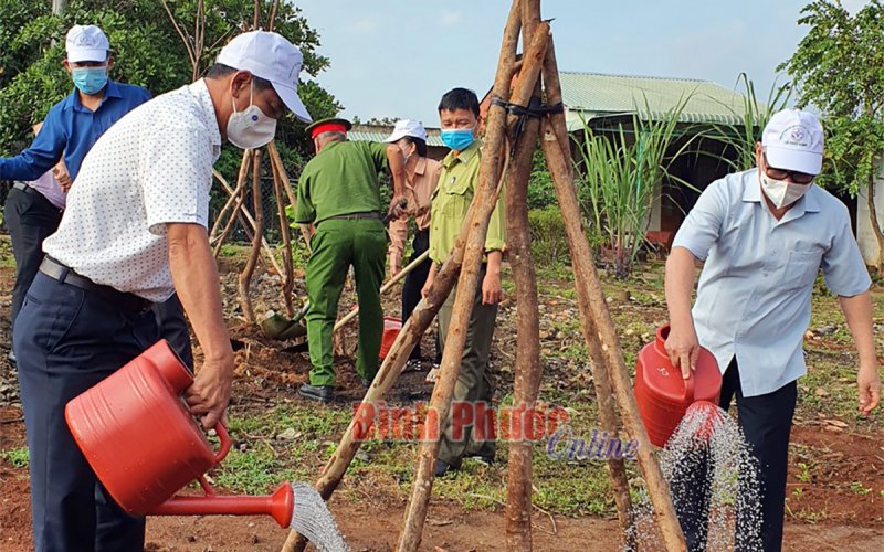 Người người, nhà nhà trồng cây gây rừng