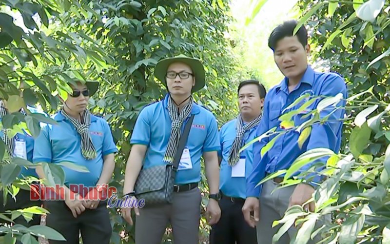 Nguyễn Minh Hậu - bí thư chi đoàn tiêu biểu toàn quốc