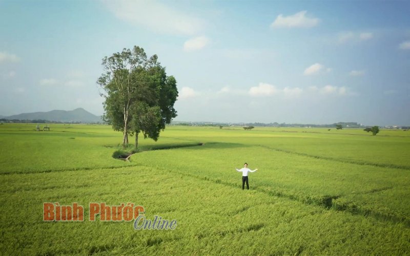 Trong màu lá cây rừng