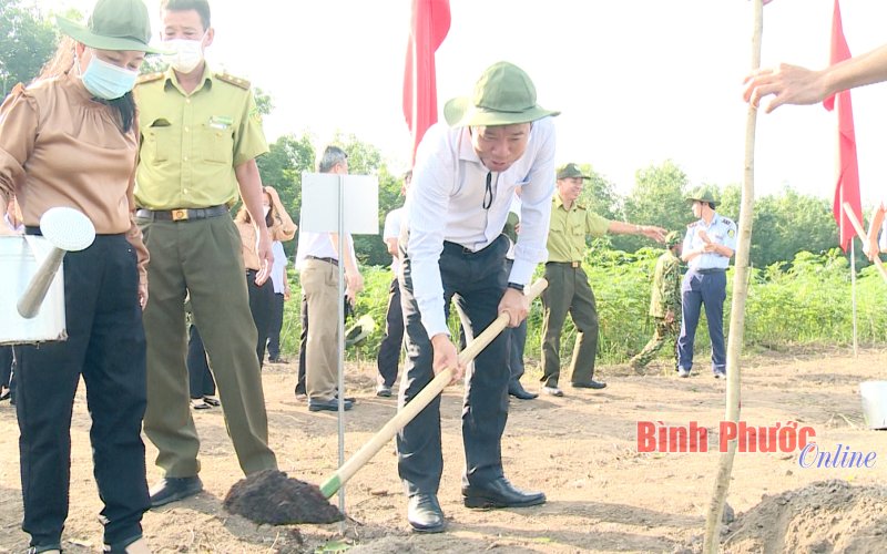 Bình Phước phát động trồng gần 800 ngàn cây xanh trong năm 2022