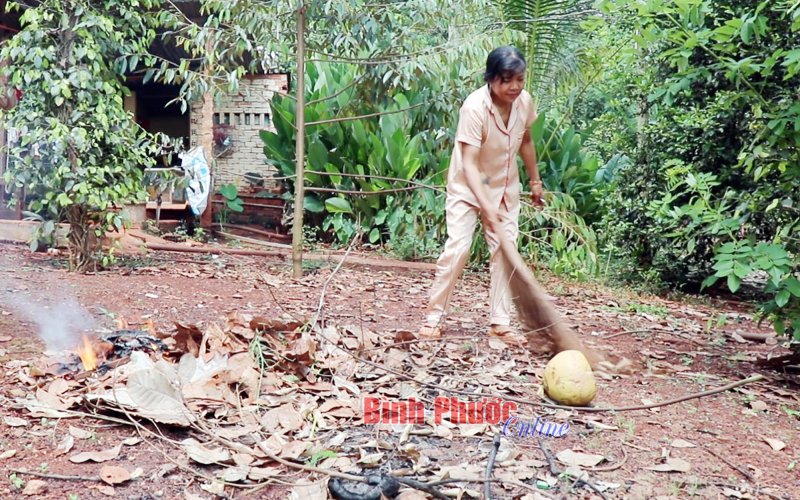 Chủ động phòng tránh sốt xuất huyết