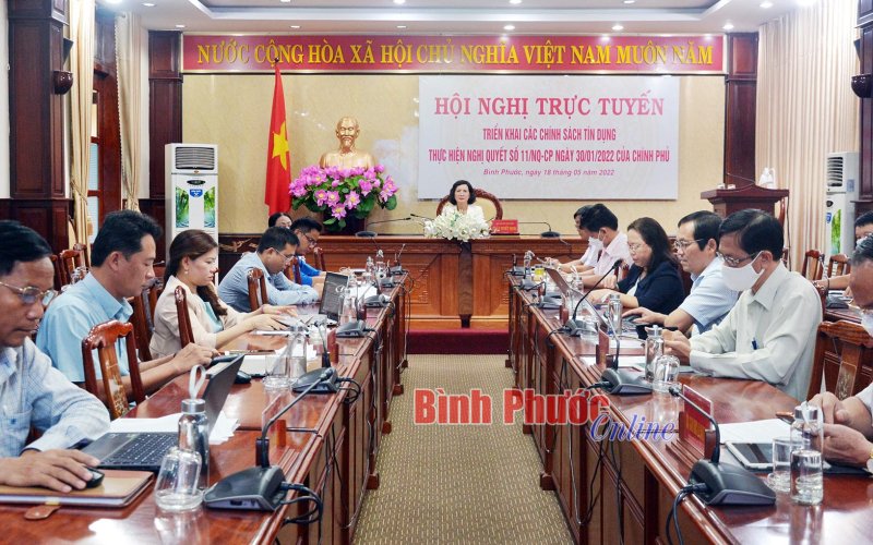 Đã giải ngân 2.319 tỷ đồng từ các chương trình tín dụng thực hiện Nghị quyết 11/NQ-CP