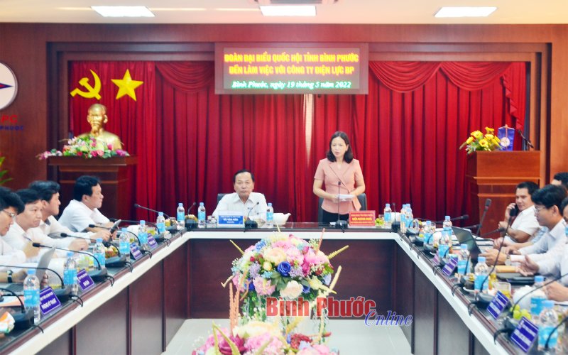 Đoàn đại biểu Quốc hội tỉnh làm việc tại Điện lực Bình Phước